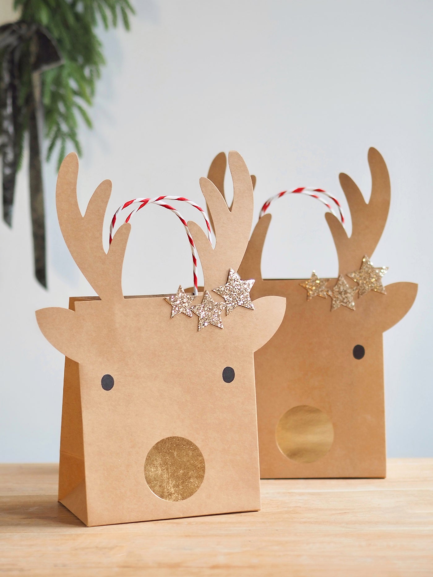 Reindeer With Stars Gift Bags