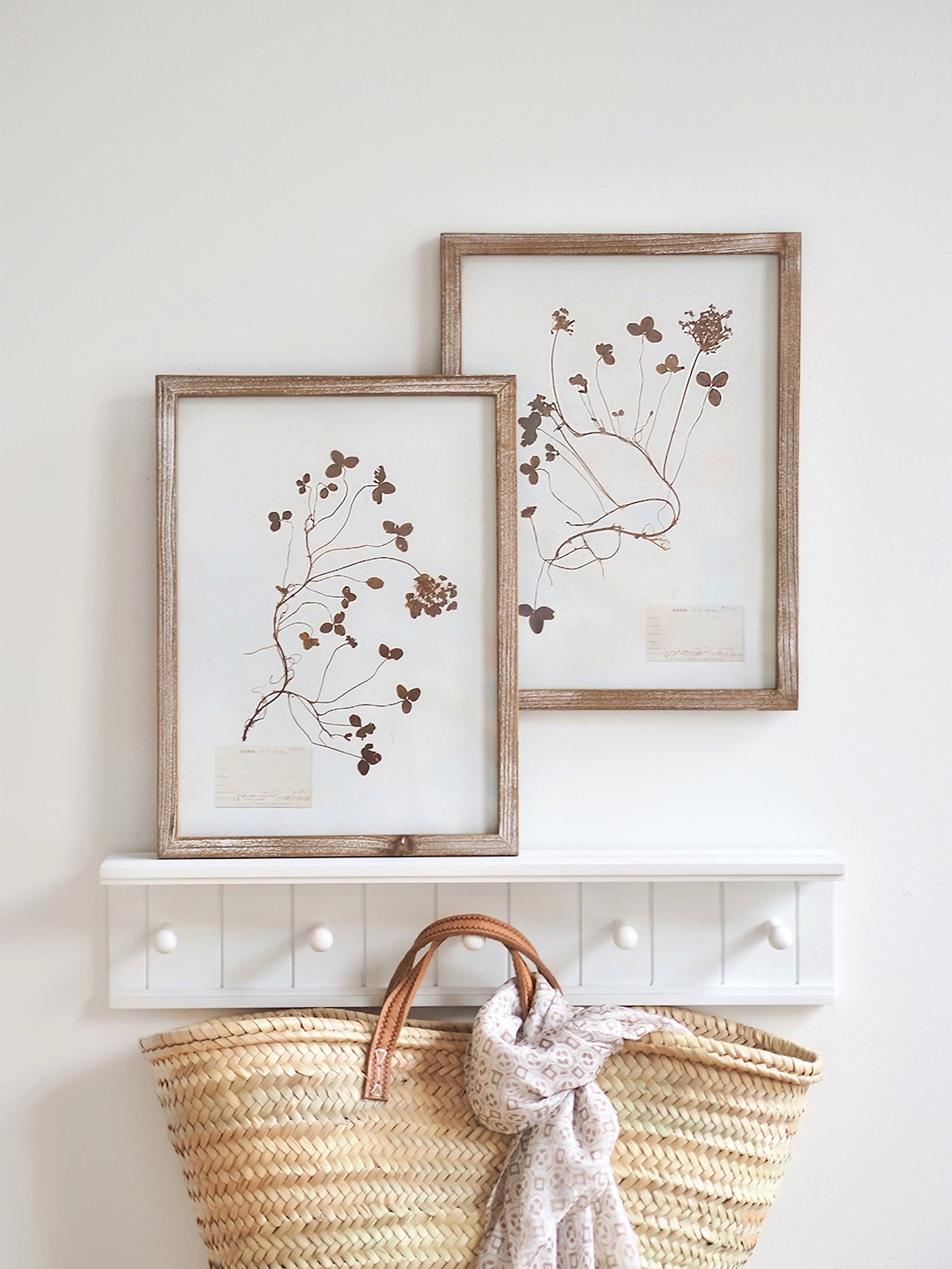 Pressed Foliage Framed Prints | 11.75" x 15.75"