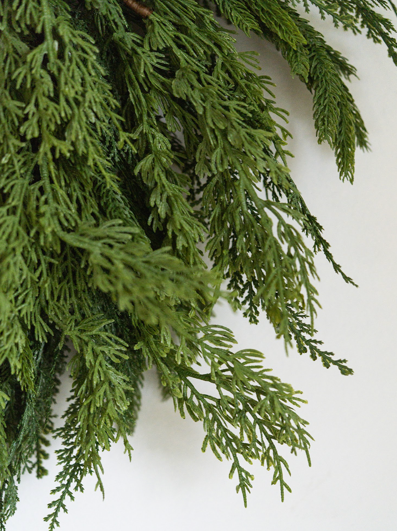 Norfolk Cypress Wreath