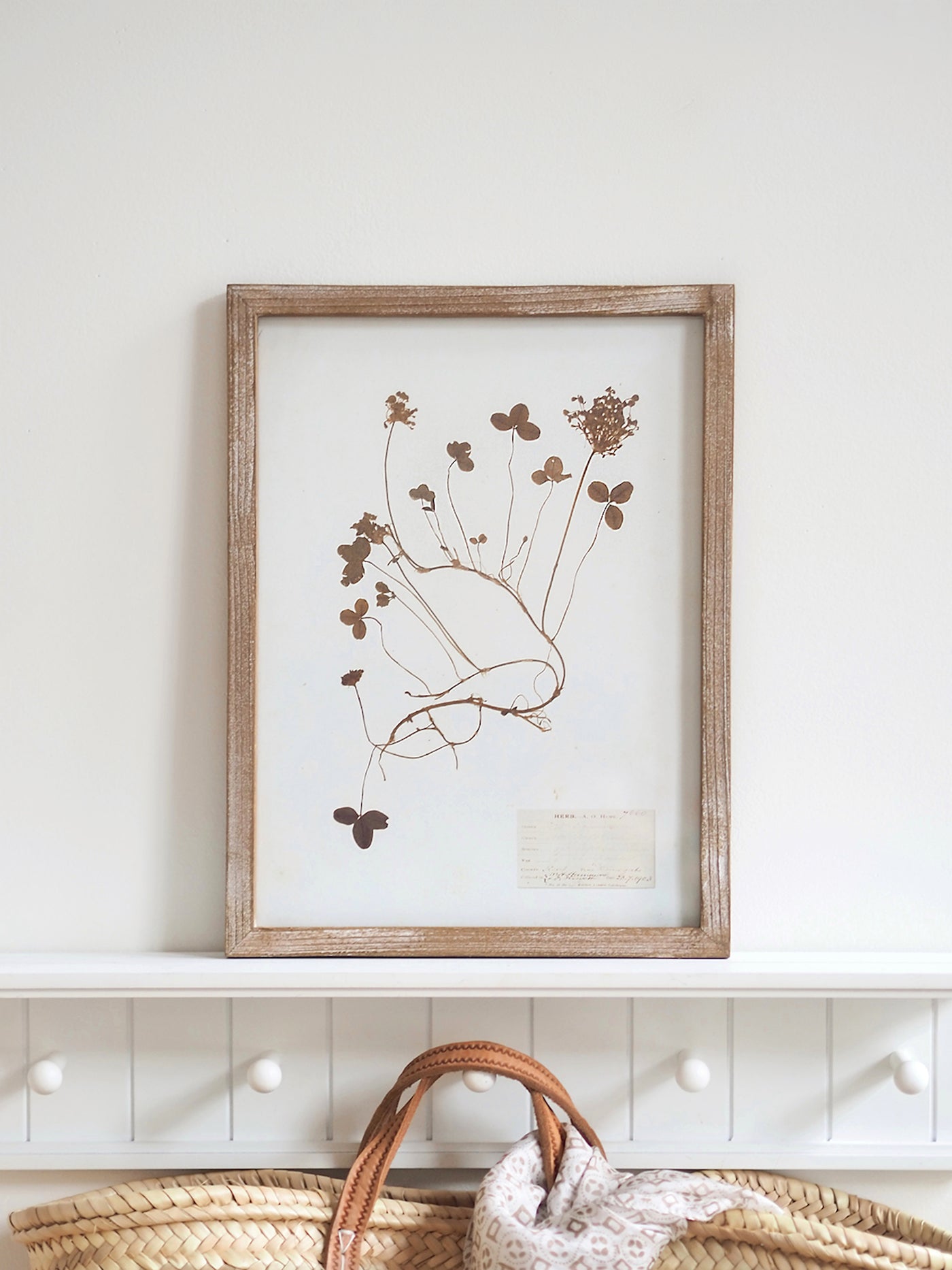 Pressed Foliage Framed Prints | 11.75" x 15.75"